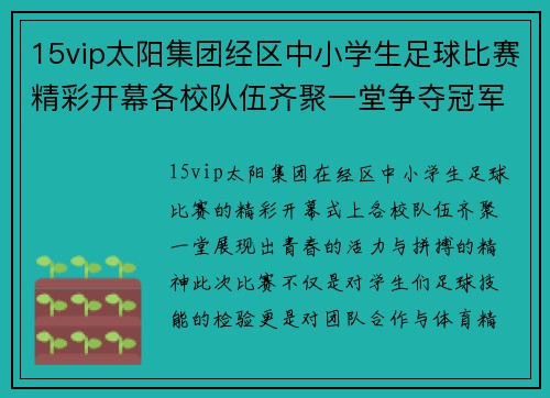 15vip太阳集团经区中小学生足球比赛精彩开幕各校队伍齐聚一堂争夺冠军荣耀